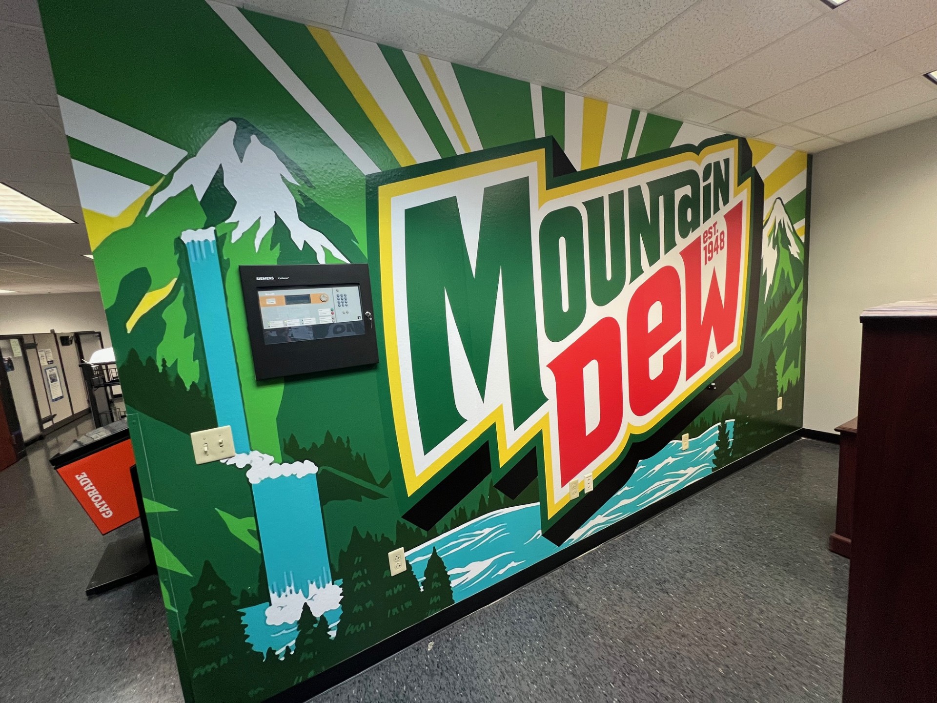 Vinyl Graphics